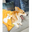  Couverture en peluche Corgi-1464083165