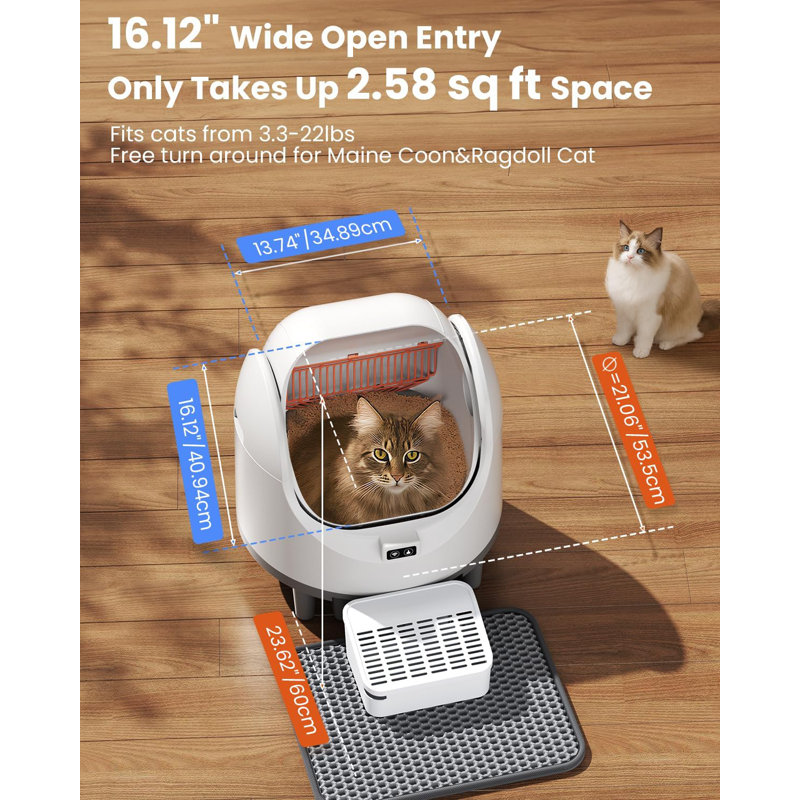 Ensemble de litière à chat autonettoyante automatique avec contrôle APP, contrôle des odeurs, pour chats multiples, électrique à brancher