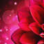 Sensual Flower - Print-852506989