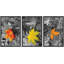 Autumn Yellow Orange Leaves Modern Wall Decor-102297607-102297609
