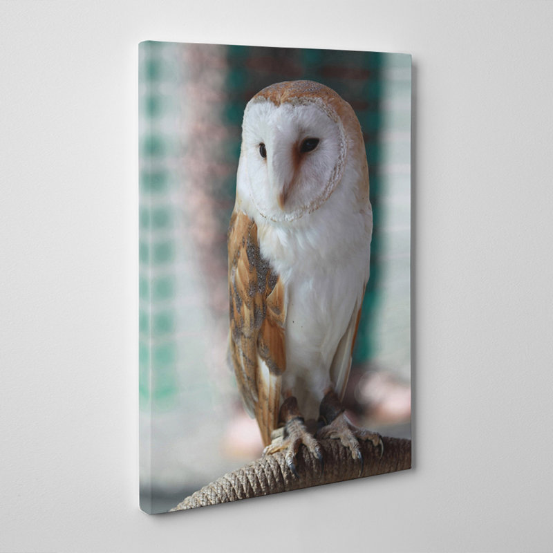 Wrapped Canvas Print, 50cm H x 35cm W