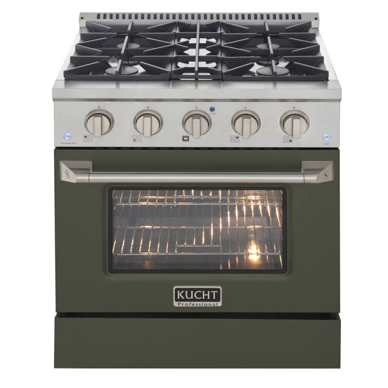 Pro-Style 30 in. 4.2 cu. ft. 4-Burner Freestanding Gas Range with Convection Oven