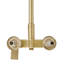 Rain Rain Shower Head