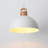 Karinne 1 - Light 11.81" Modern Single Metal Dome Pendant with Plug-In Switch for Kitchen Island Dining Room Entryway-448552566