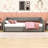 Upholstered Daybed with Two Drawers