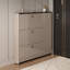 Fashionable Classic Storage Shoe Cabinet