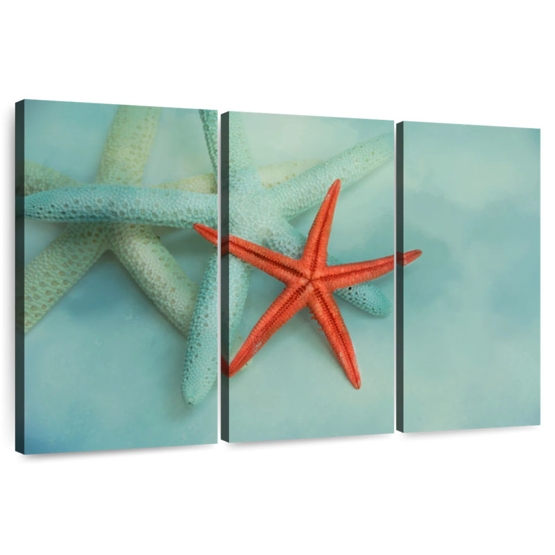 Brampt Ocean Treasures, H 24 po x l 38 po