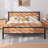 Chrissoula Bed Frame with Vintage Style Headboard, No Box Spring Needed, Easy Assembly-893483674