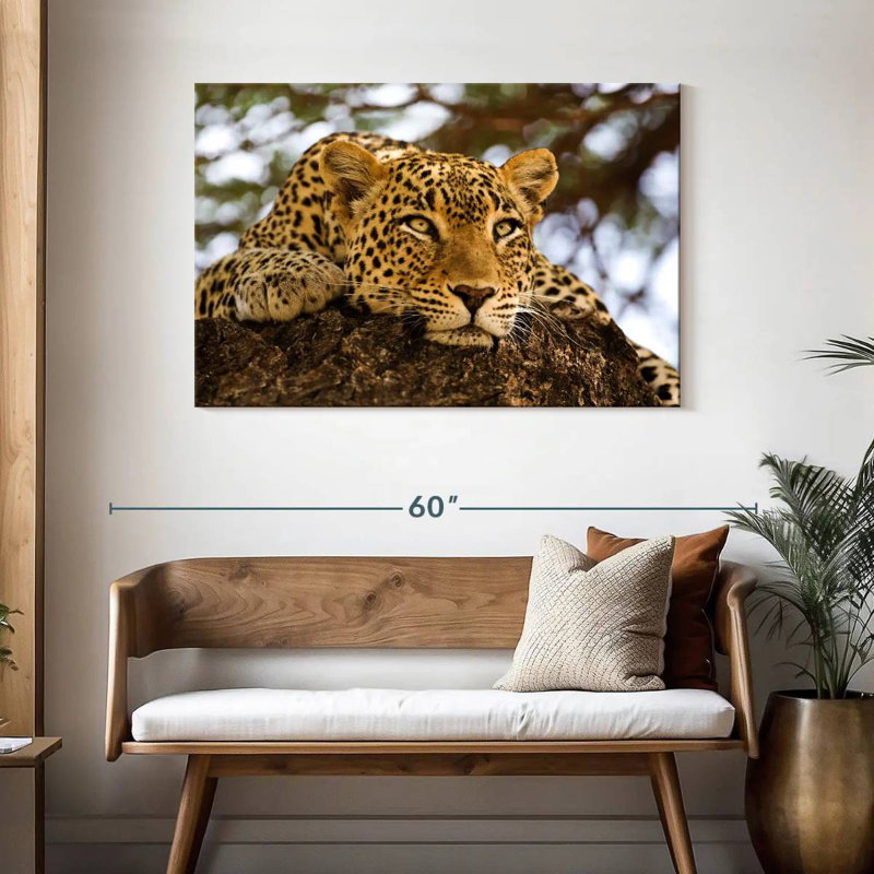 Brampt Leopard Looking For Prey, 30" H x 45" W