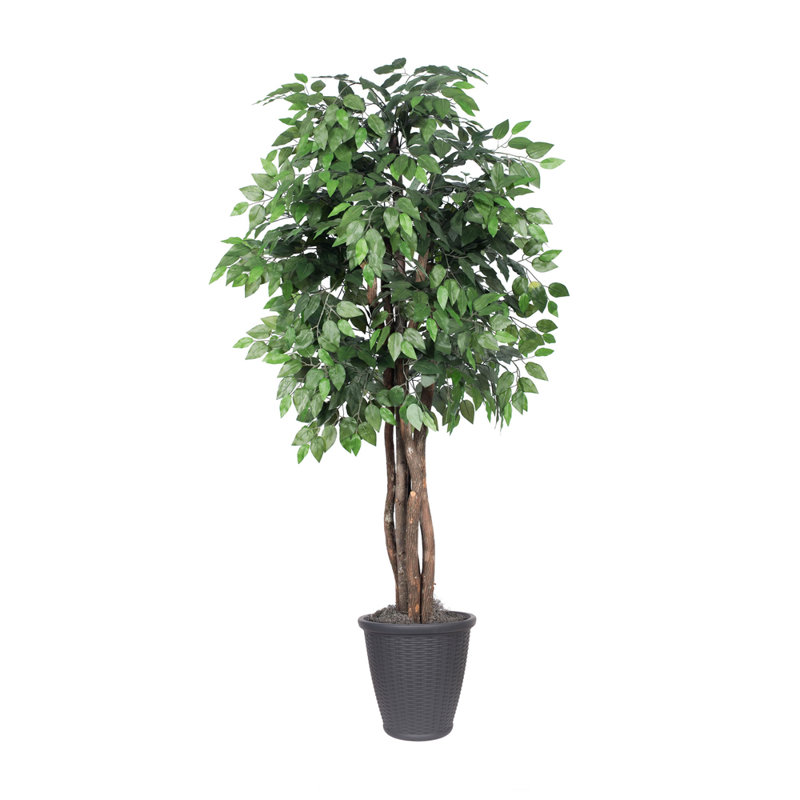 72'' Faux Tree in Pot, Gray