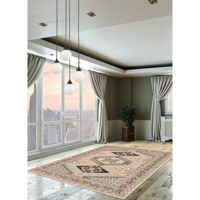 Oriental Indoor Rug