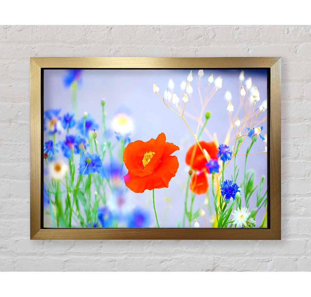 Lovely Poppy Garden - Einzelner Bilderrahmen Kunstdrucke