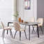 Norred Velvet Dining Chairs Upholstered seat-88112302