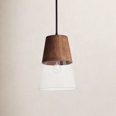 Remora Single Light Steel Dimmable Pendant