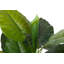 133cm Faux Banana Leaf Plant in Pot