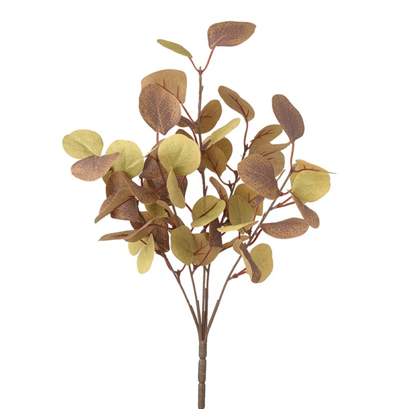 Eucalyptus Arrangement