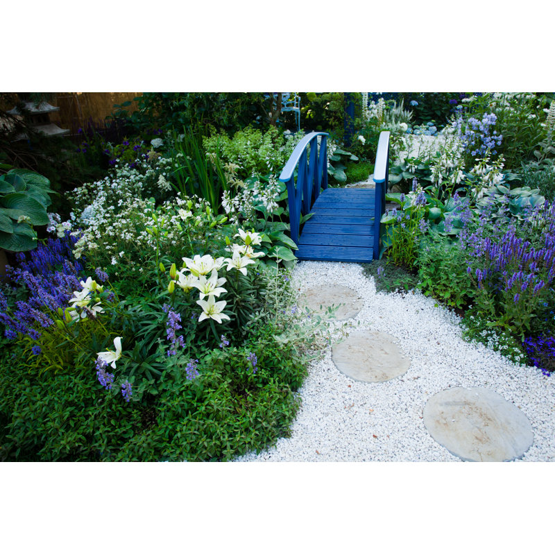 Tranquil Garden by Antoninapotapenko - Wrapped Canvas Print, 30cm H x 46cm W