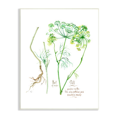 " Dill Greens Best Of Herbs Watercolor Garden Plants "
