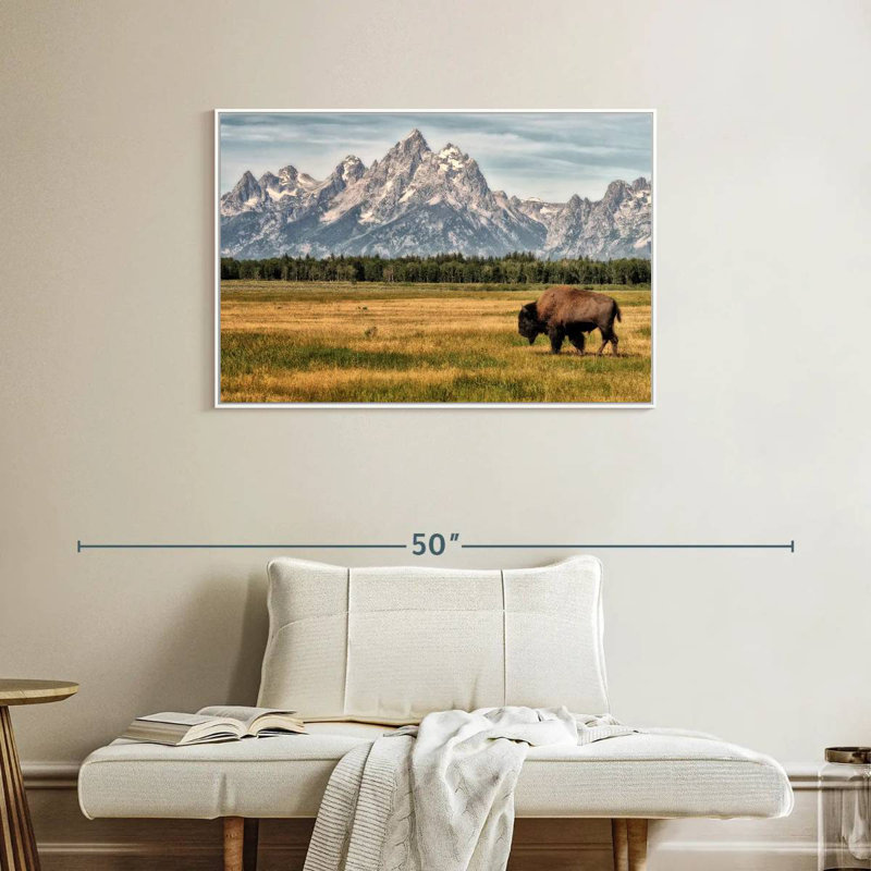 Bull Bison à Grand Teton, Cadre flottant blanc, 37 po x 25 po