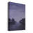 " Amethyst Moonlight II "-604718107