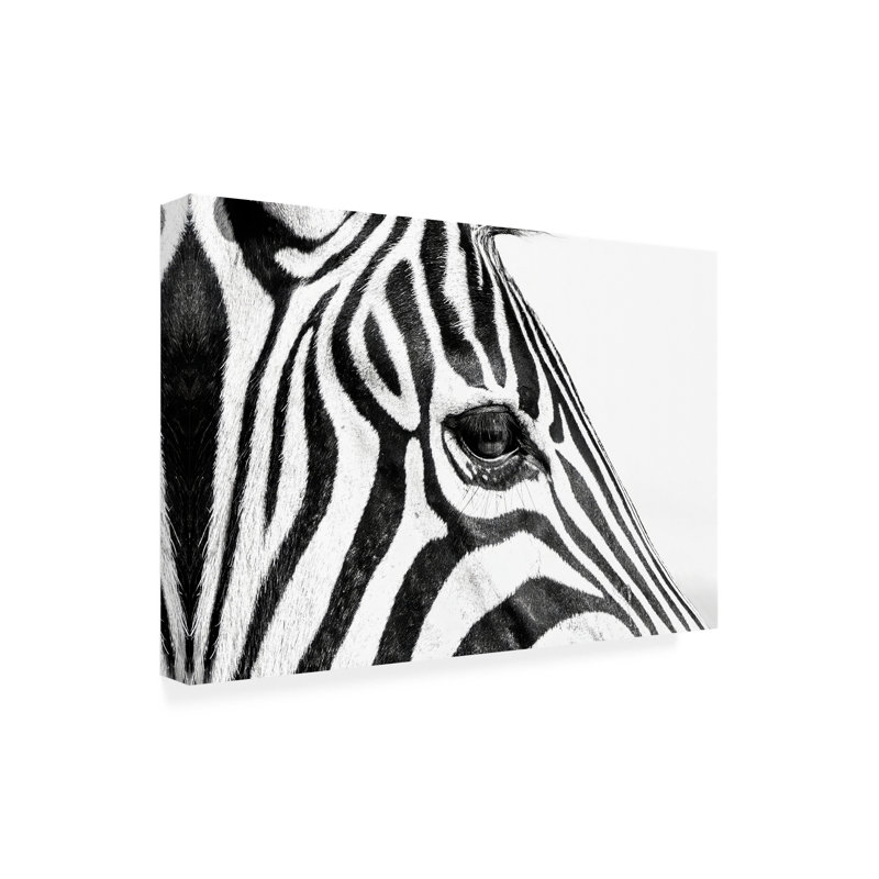 Art sur toile, noir et noir, H 12 po x l 19 po