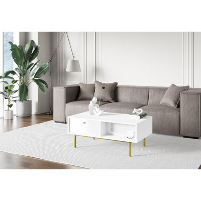 Coffee Table Ketan with Storage Space