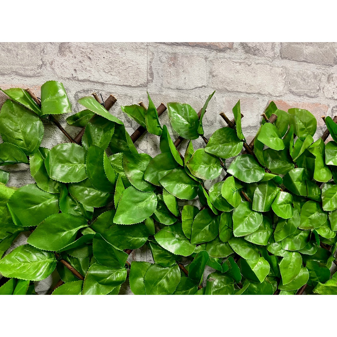 Annalicia 100Cm H x 200Cm W Plastic Expanding Trellis