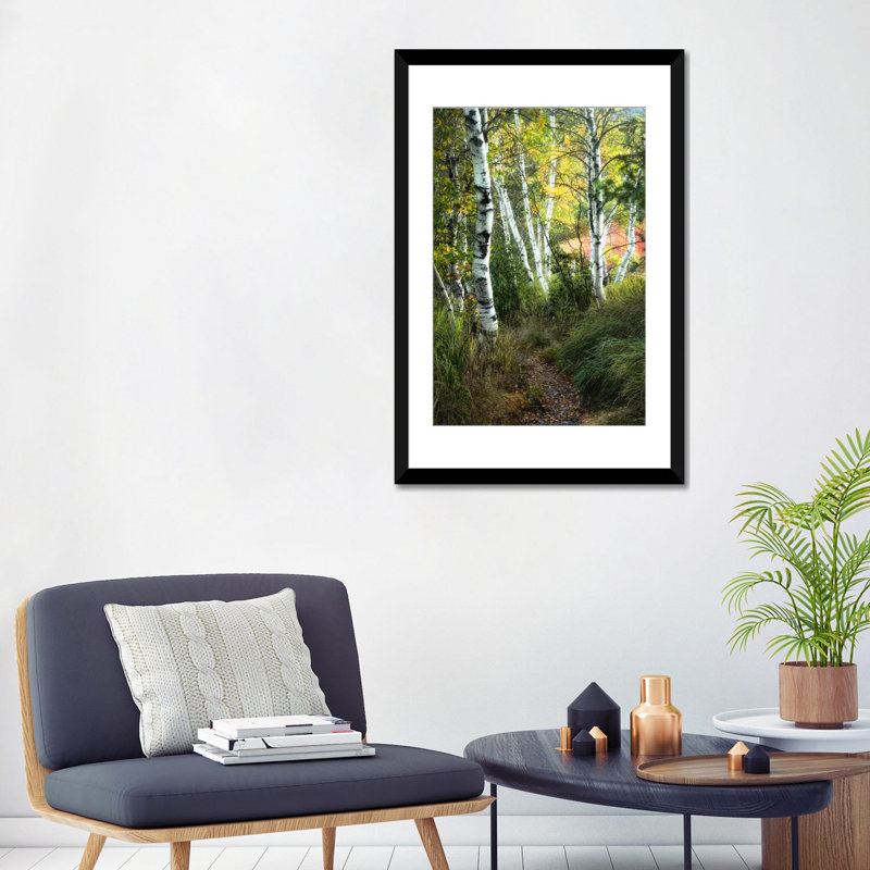 « bouleau path iii », reproduction de photo sur toile, H 32 po x l 24 po x P 1 po, Papier d'art encadré noir, Blanc