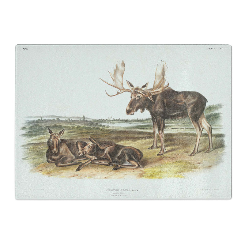 Tempered Glass Moose Deer by J.W. Audubon Chopping Board, 28.5 cm x 20 cm