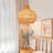 Berklin 1 - Light Natural Dome Pendant-2032378518