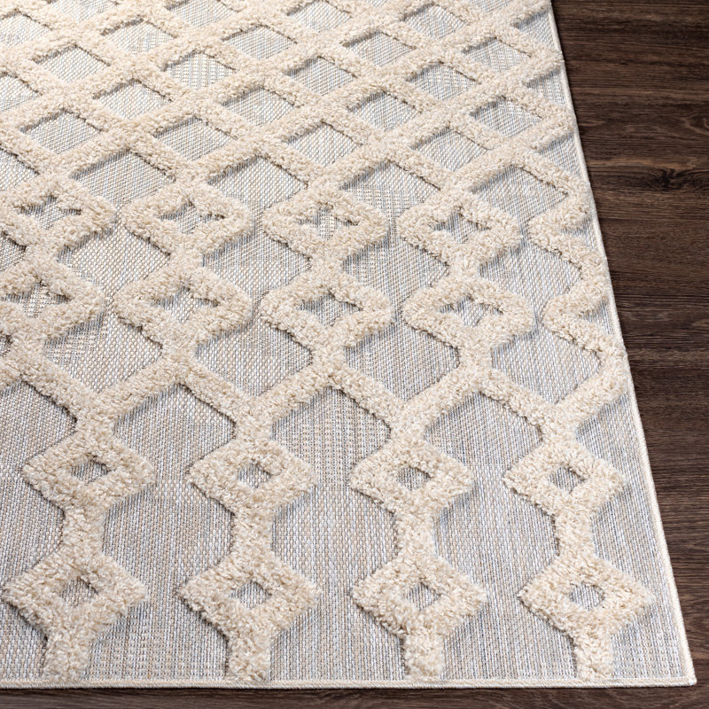 Lenwood Geometric Indoor / Outdoor Rug, Rectangle 5'3" x 7'