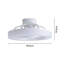 Coleon Ceiling Fan with LED Lights