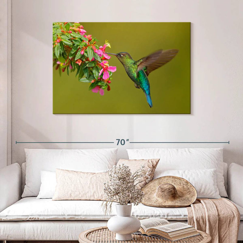 Colibri qui mange