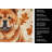 Red Chow Chow Heirloom Fall Kitchen Towel-1218231350