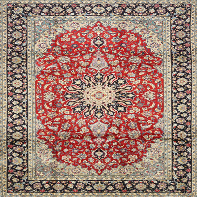 Macauly Oriental Indoor Rug