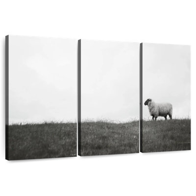 Brampt Islay Sheep II