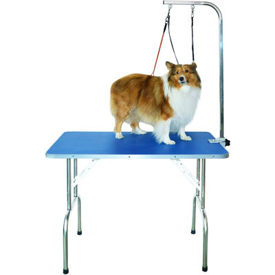 Professional Pet Grooming Table With Double Leashes And Clamp For Large And Medium Dogs, Medium(31.5*20inch)