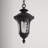 Courteau Outdoor Pendant-826466360-826466361