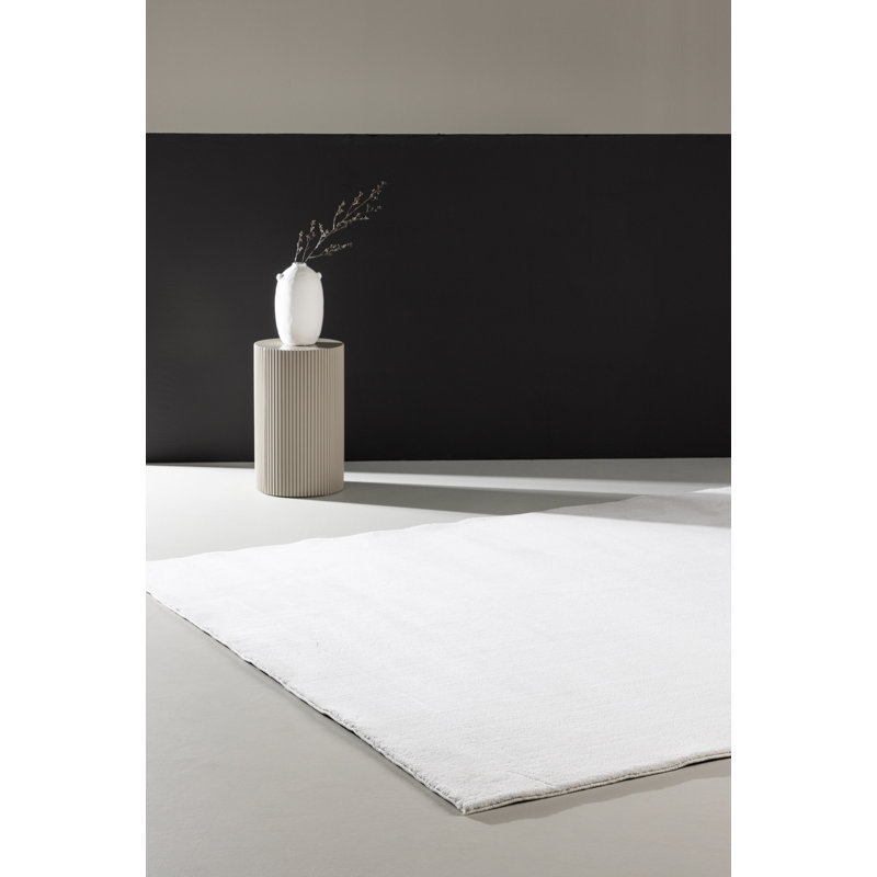 Anuj 240cm X 350cm Area Rug