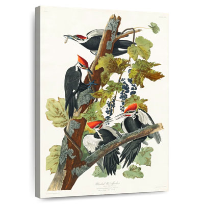 Pic Brampt