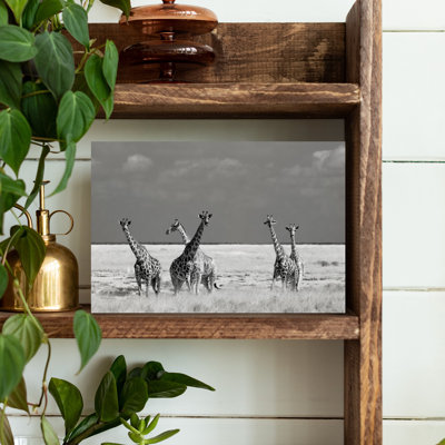 Art girafe sauvage sauvage, paysage contemporain