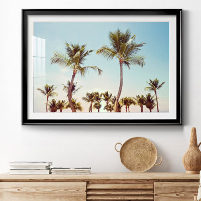 Aruba Palm - photographie avec cadre photo