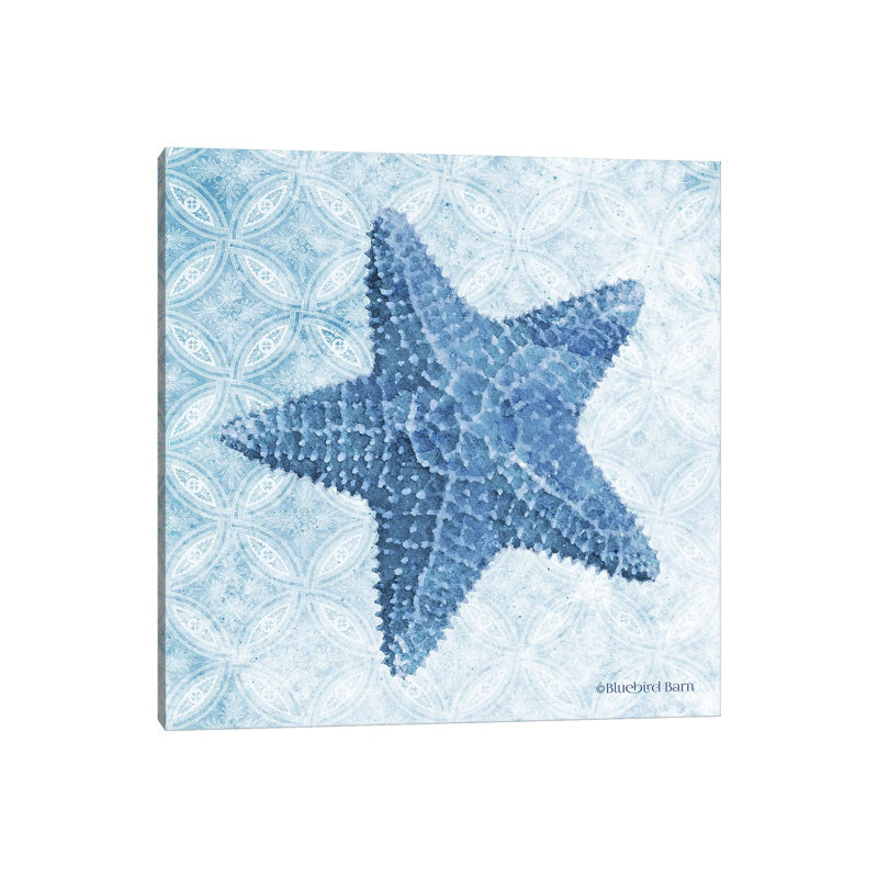 Starfish I by Bluebird Barn - Wrapped Canvas Print, 66.04 cm H x 66.04 cm W x 1.91 cm D