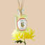 Fruits Diffuser-1215989475