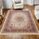 Albers Oriental Area Rug