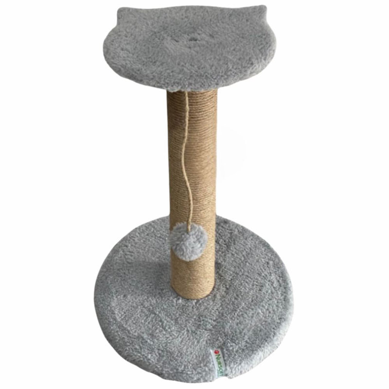 Grattoir pour chat, Gris