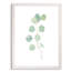 « mou eucalyptus branch iv » par paul cezanne-photo, reproduction d’art encadrée-1378864489-1378864494-1378835973