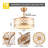 18" Gold Caged Ceiling Fan with Lights and Remote Control