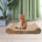 Als Scratching Post