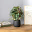 Artificial Plant